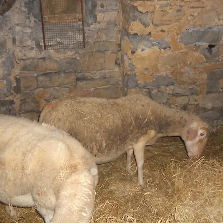 Domaine D'alcapiès Saint-Jean-dʼAlcapiès