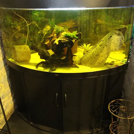 Bed & Breakfast Domaine D'alcapies 3*