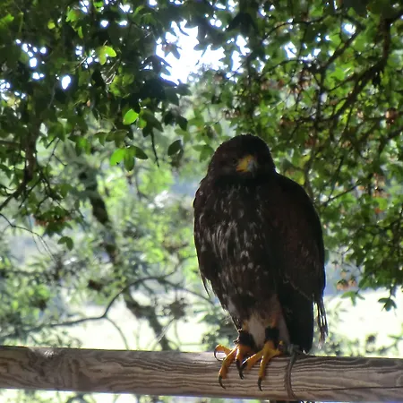 Domaine D'alcapies Bed & Breakfast